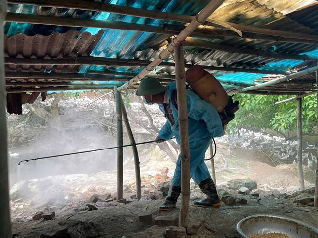 Nhân viên thú y tiến hành phun khử trùng, tiêu độc khu chuồng trại chăn nuôi