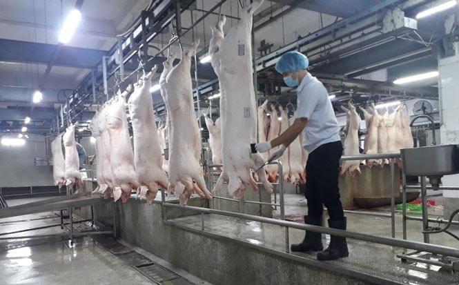 Giết mổ công nghiệp góp phần tạo nguồn sản phẩm thịt gia súc, gia cầm an toàn cho người tiêu dùng