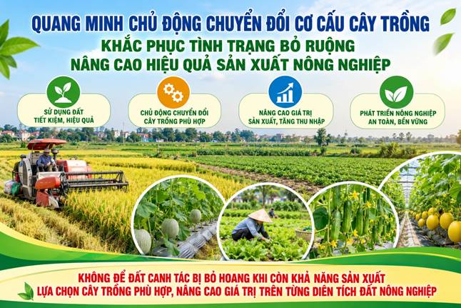 ảnh minh hoạ